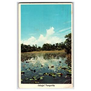 Vintage Everglades National Park Florida Postcard Colorful Tranquility